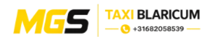 Taxi MGS Logo